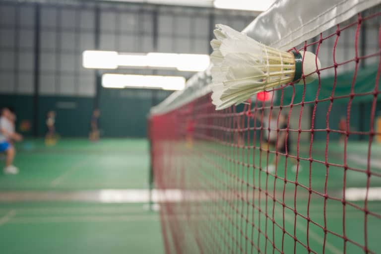 Can You Use A Badminton Net For Pickleball?