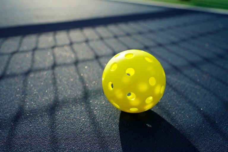 How Many Holes Does An Outdoor Pickleball Have?