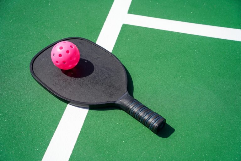 Best Pickleball Paddle For Control
